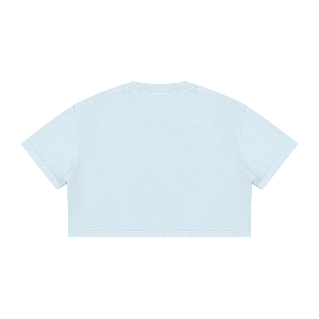 Butterfly Mineral Wash Crop Tee Light Blue back