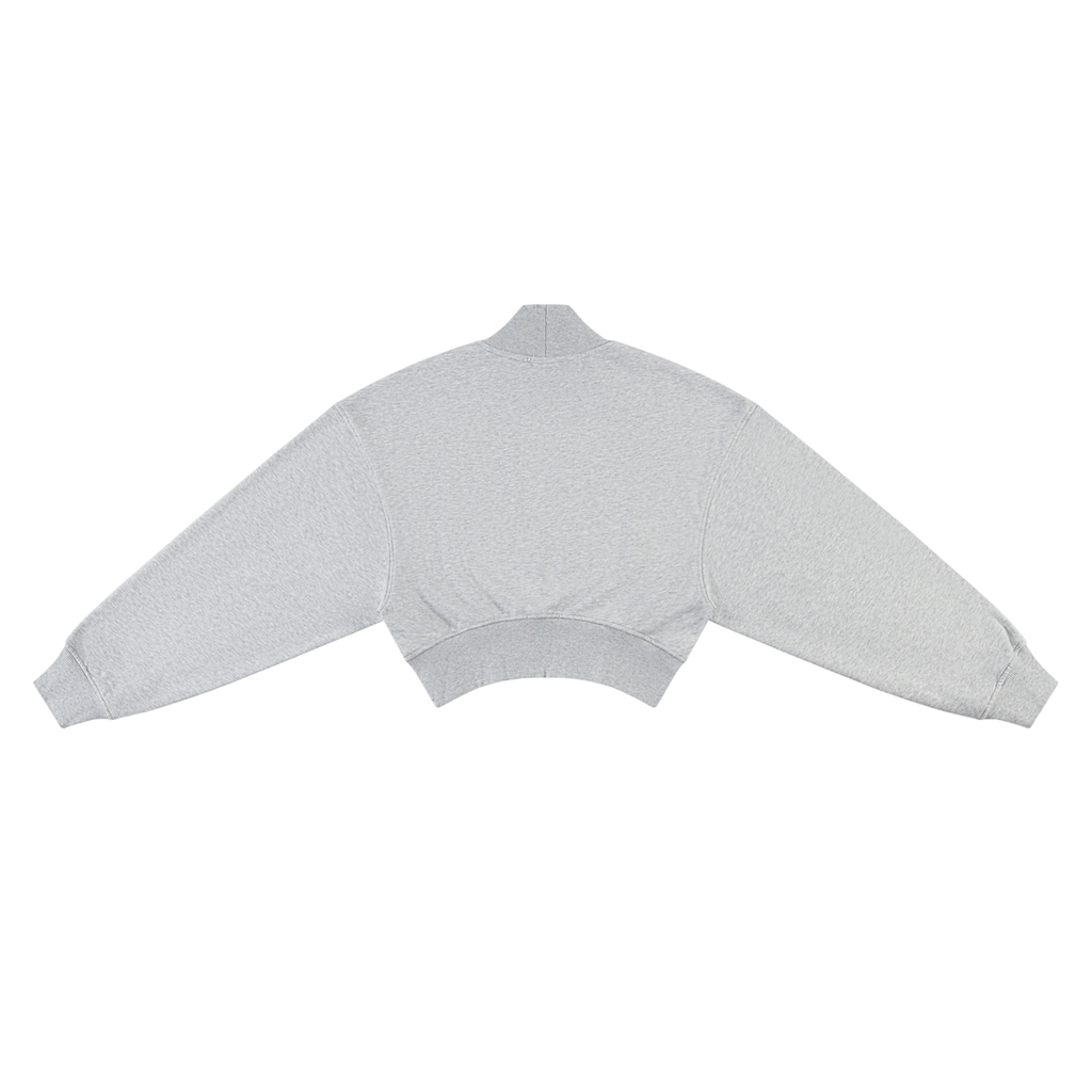 Twin Angels Crop Hoodie Gray back