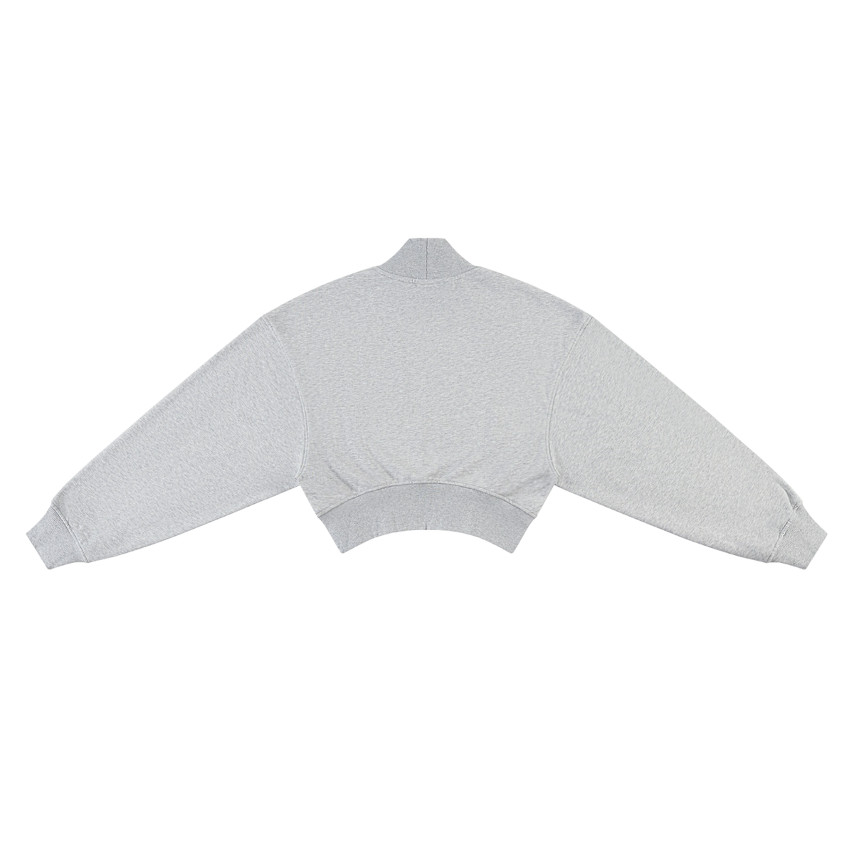 Twin Angels Crop Hoodie Gray back