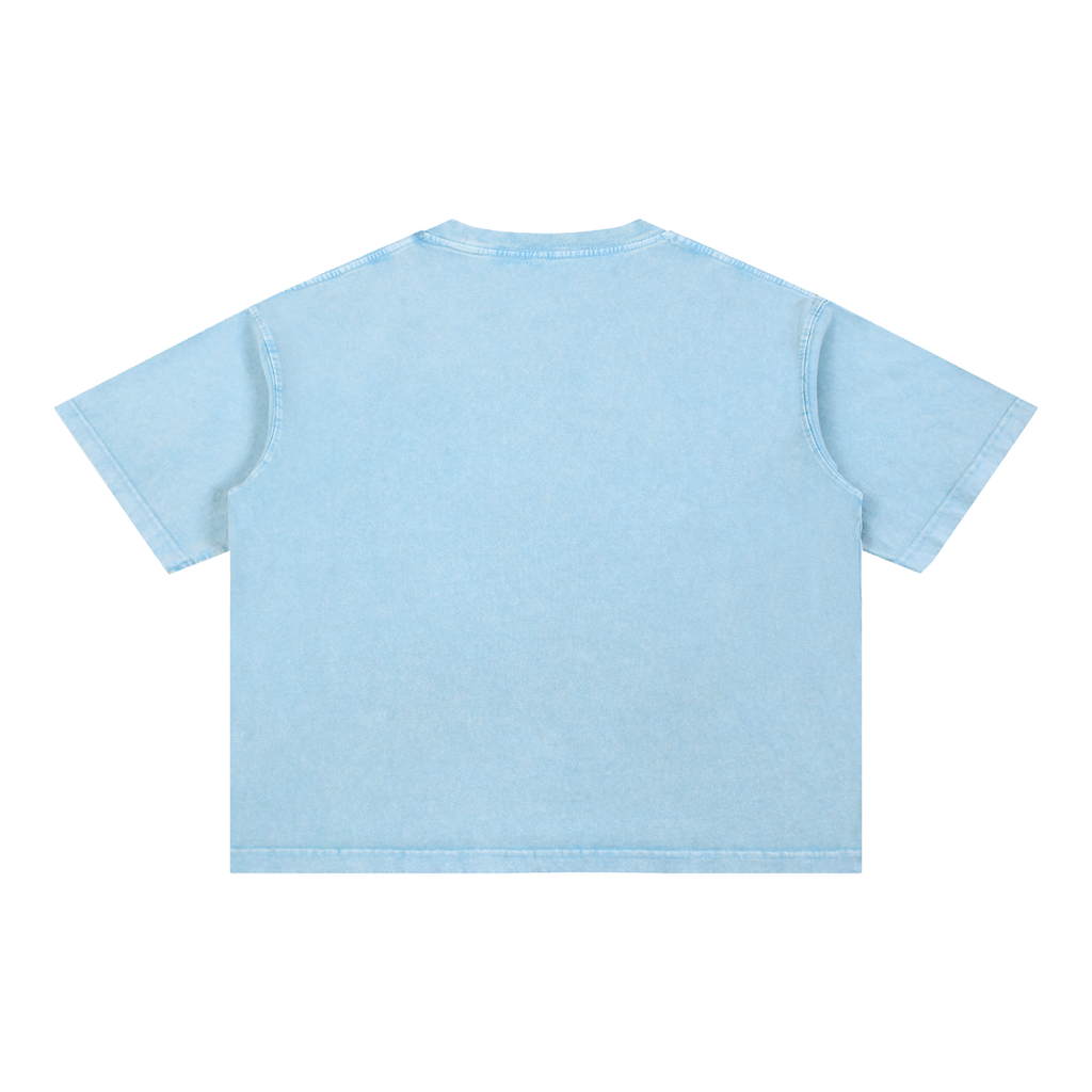 Butterfly Mineral Wash Boxy Tee Sky Blue back