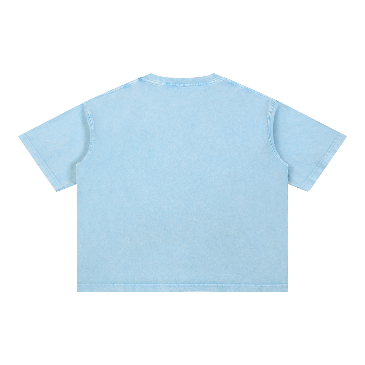 Butterfly Mineral Wash Boxy Tee Sky Blue back