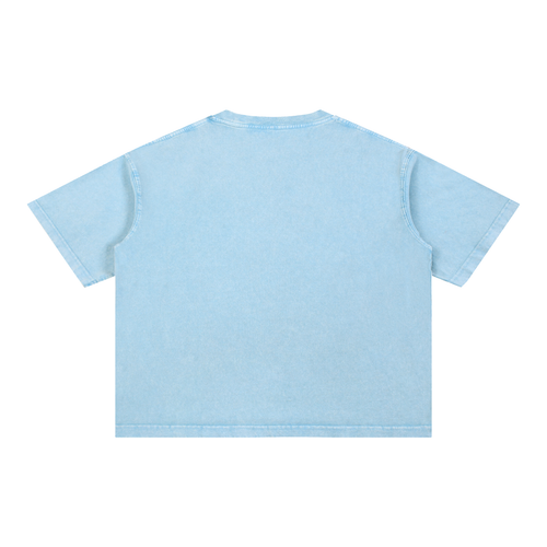 Butterfly Mineral Wash Boxy Tee Sky Blue back
