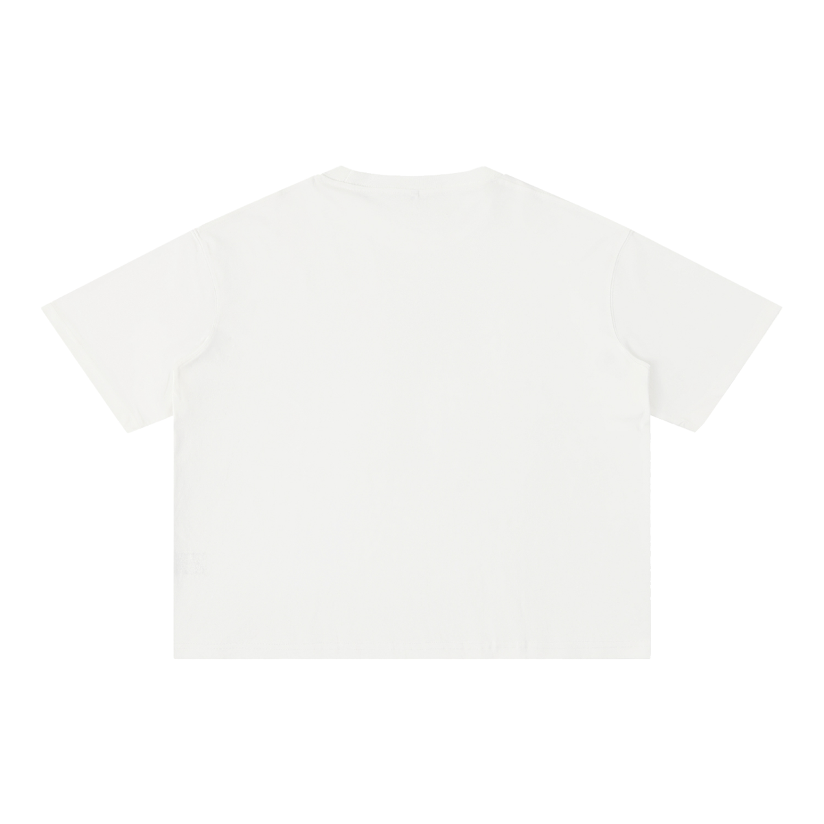 Butterfly Mineral Wash Boxy Tee White back